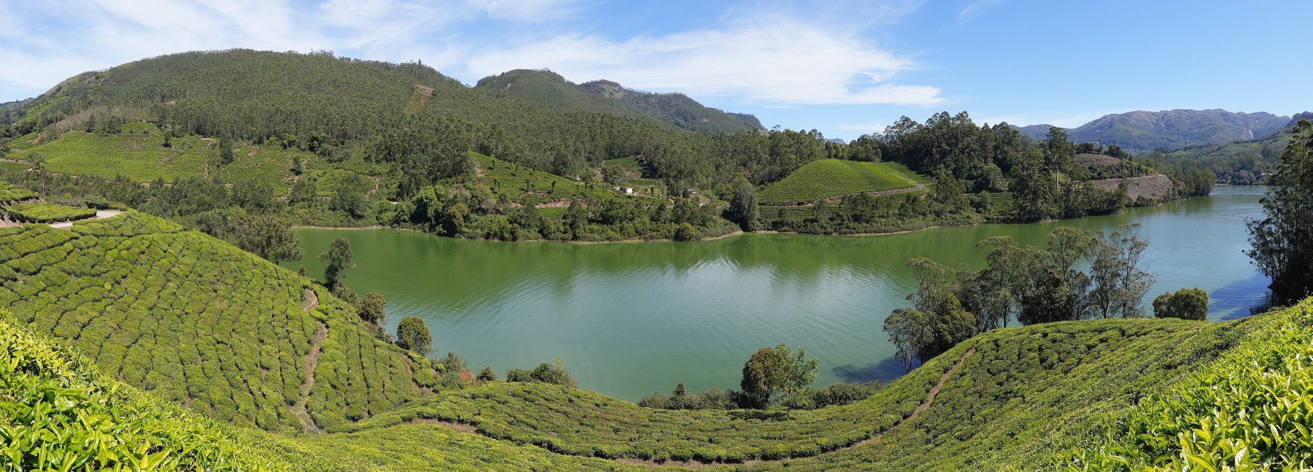 Mattupetty lake below the Munnar tea slopes