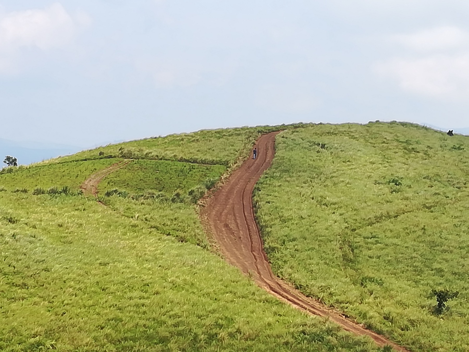 Open grass meadows in the hills at Vagamon